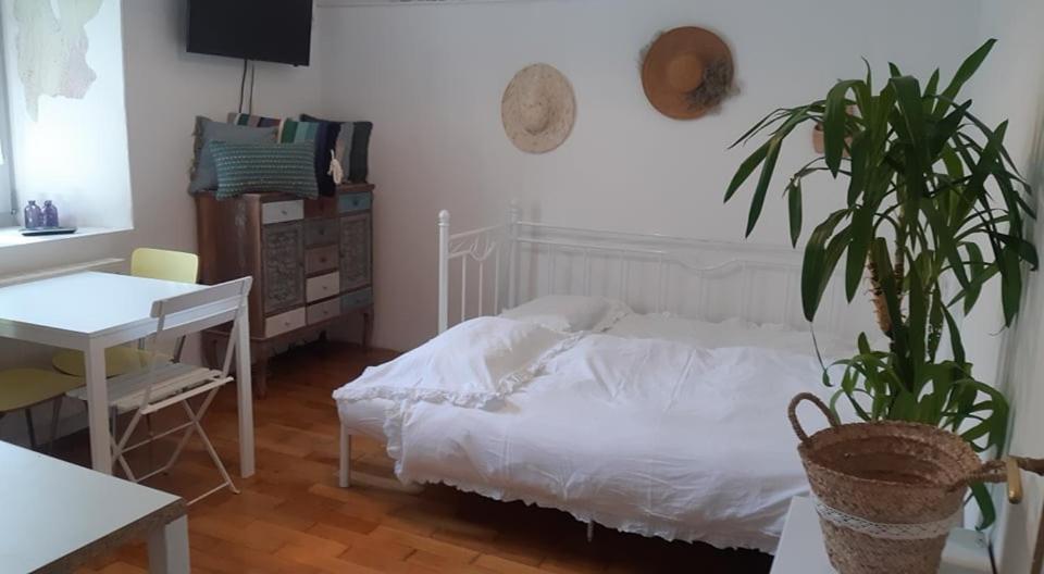 Little Garden Apartment Piran Exterior photo